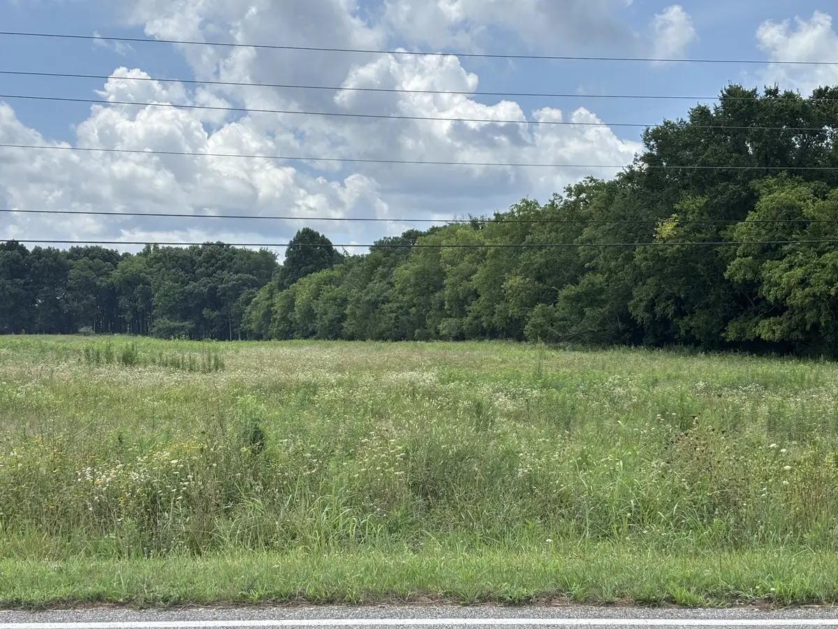 0 Unionville Rd, Chapel Hill, TN 37034 - #1