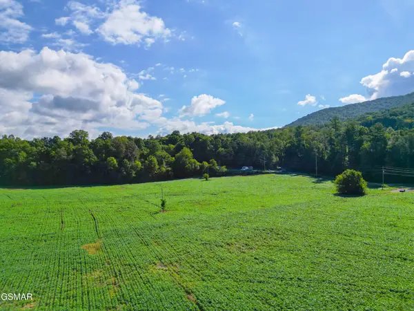 60 Cosby Highway, Cosby, TN 37722