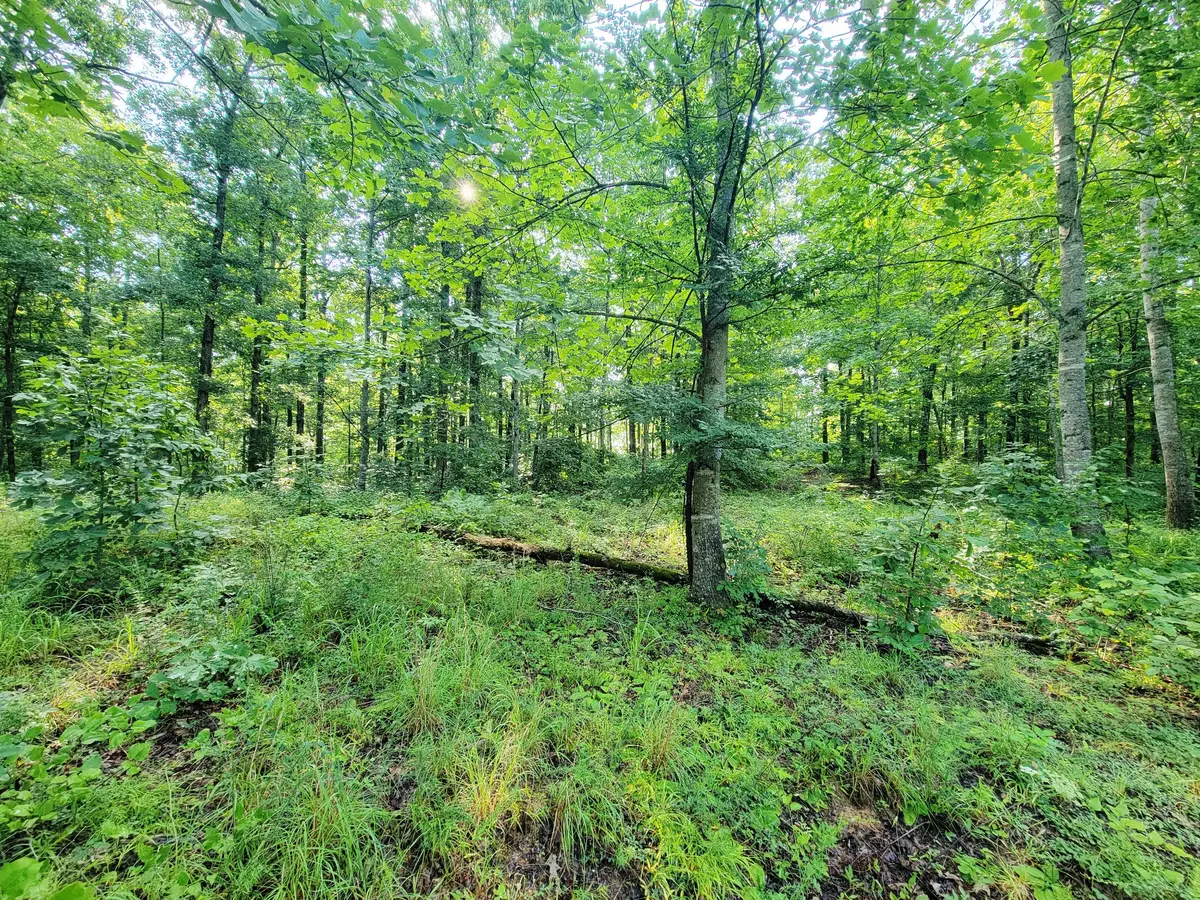 0 Ridgewood Dr, McEwen, TN 37101 - #1