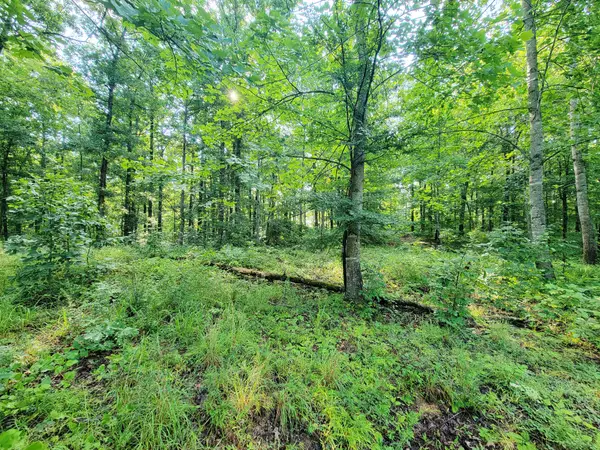 0 Ridgewood Dr, Mc Ewen, TN 37101