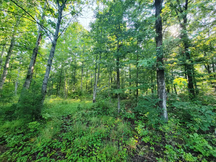0 Ridgewood Dr, McEwen, TN 37101 - #2