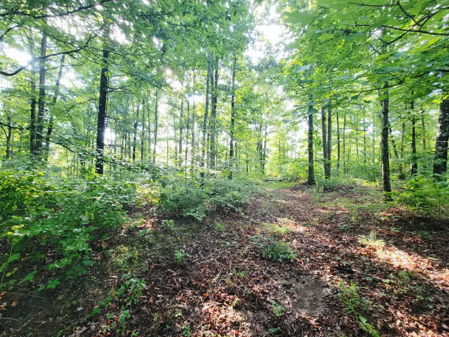 0 Ridgewood Dr, McEwen, TN 37101 - #3