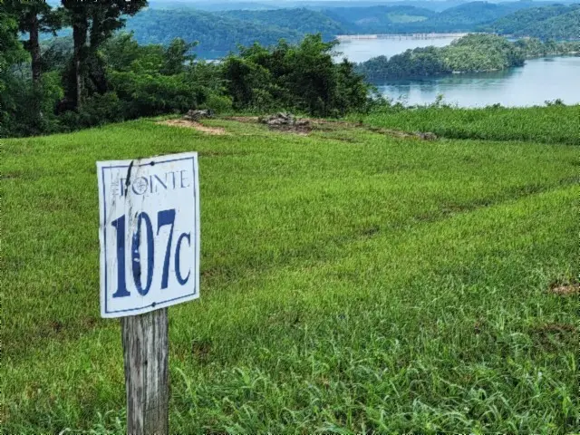 0 Sunfish Ln, Hilham, TN 38568 - #3