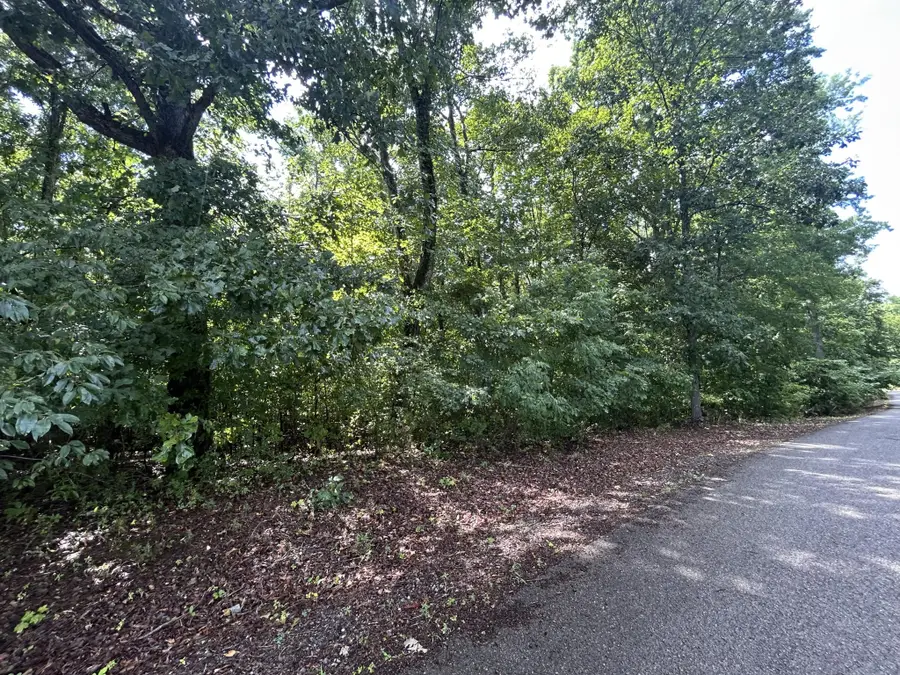 92 Butterfly Cove Trail, Decatur, TN 37322 - #3