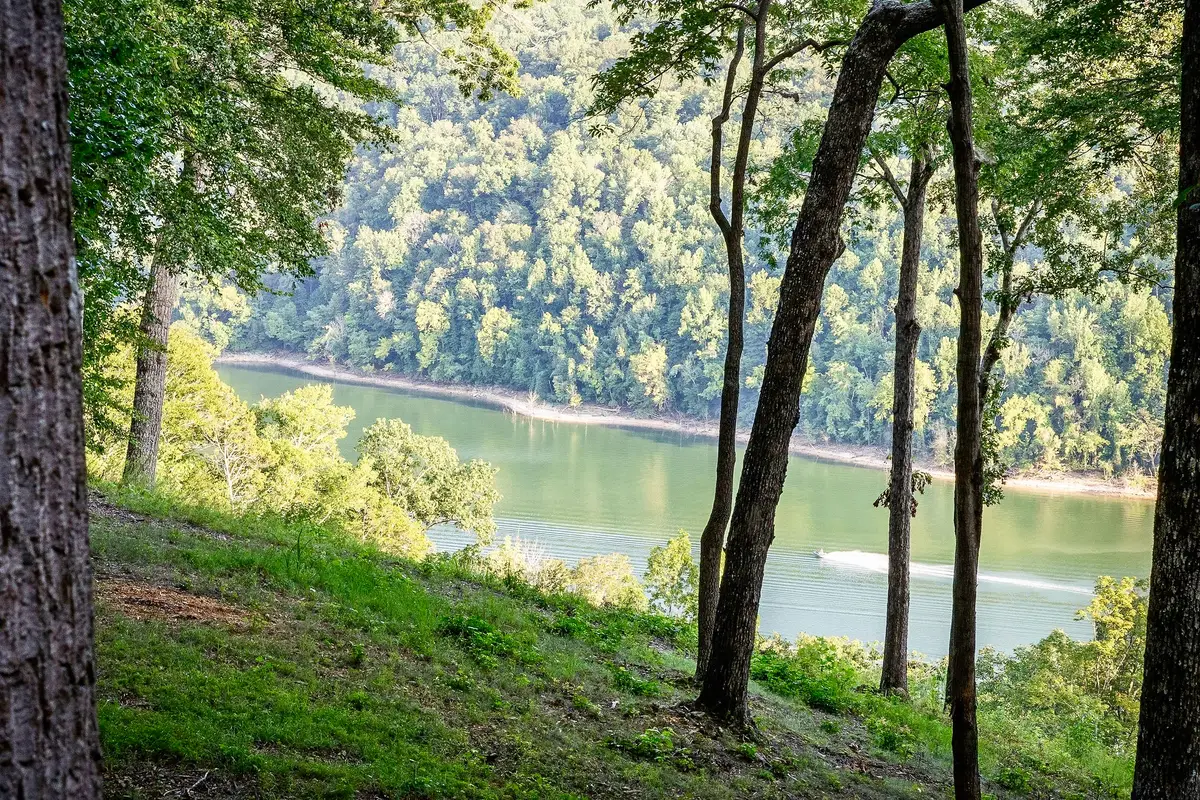 490 January Pl, Smithville, TN 37166 - #1