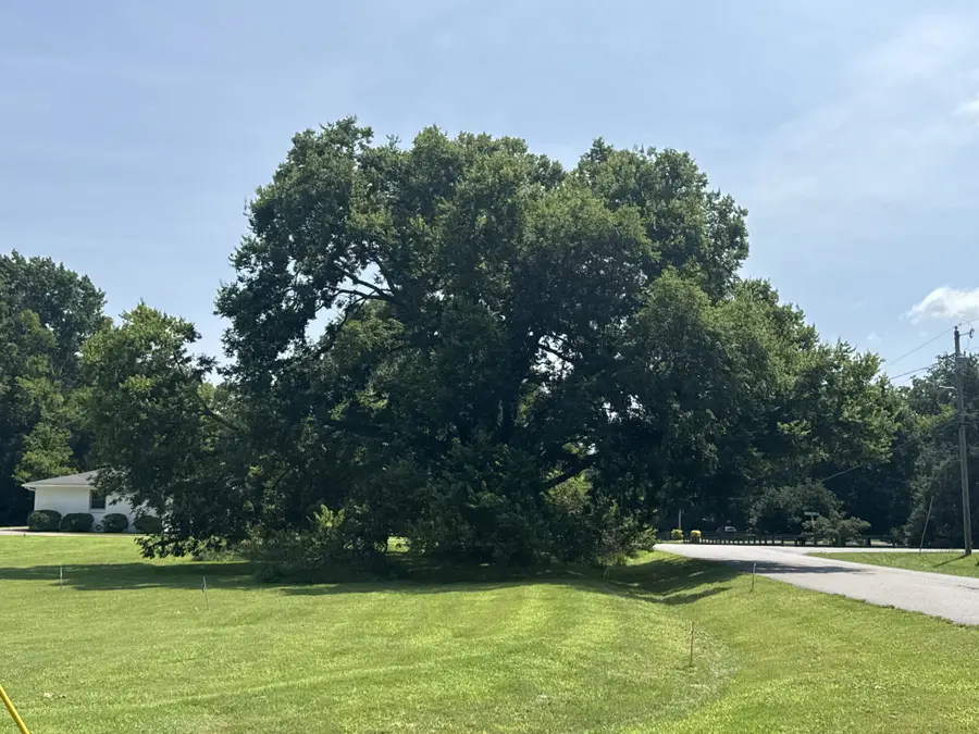 202 Harpeth Hills Dr, Franklin, TN 37069 - #2