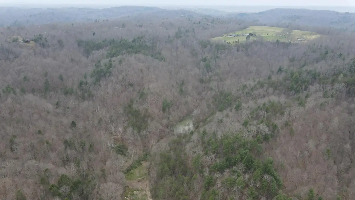 899 Morning Glory Hollow Road, Helenwood, TN 37755 - #1
