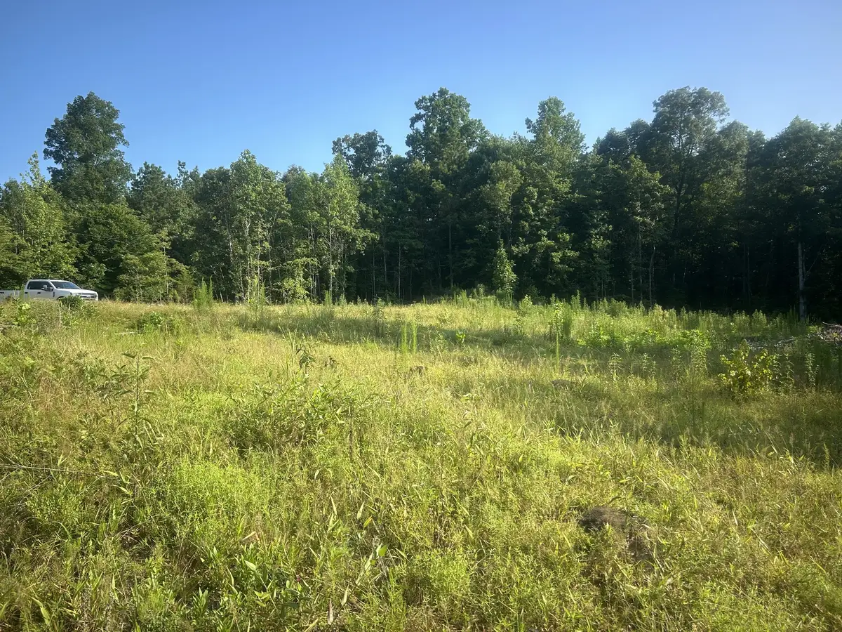 2853 Old Natchez Trace Trail, Camden, TN 38320 - #1