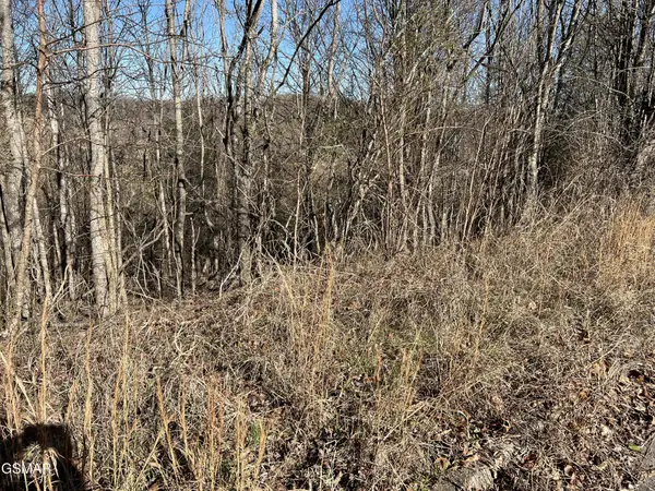 2 Baldwin View Drive, New Market, TN 37820
