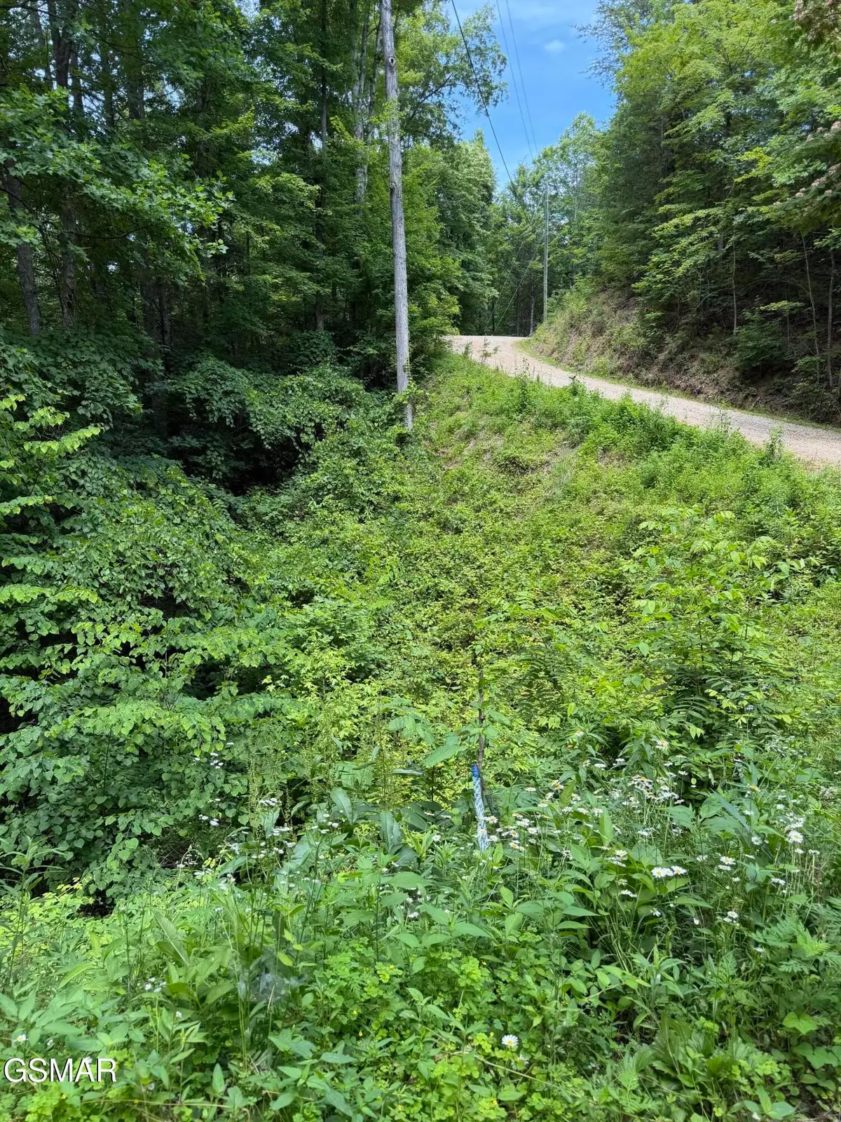 56 Butternut Lane, Sevierville, TN 37876 - #1