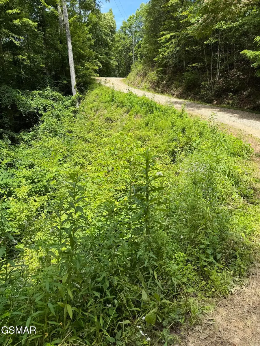 56 Butternut Lane, Sevierville, TN 37876 - #3