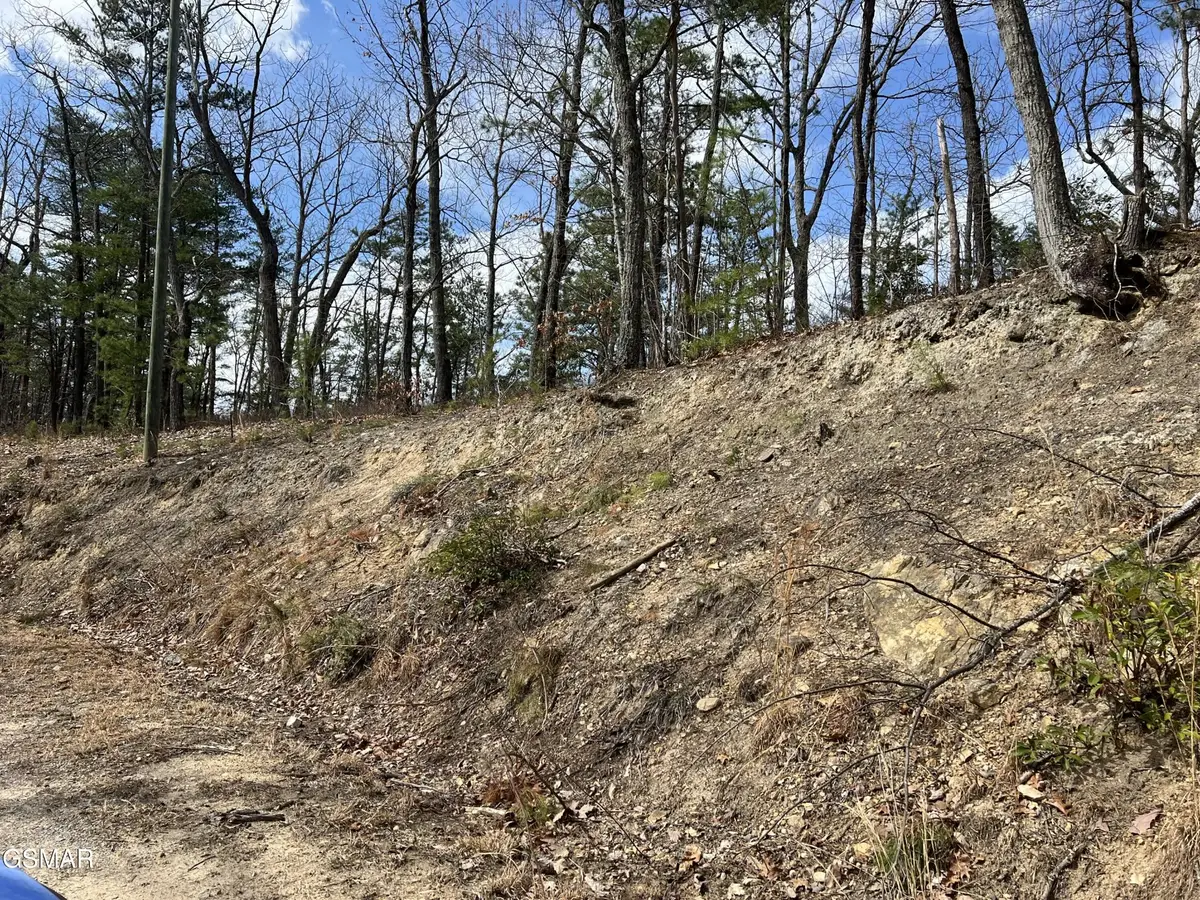 1011 Chestnut Ridge Court, Sevierville, TN 37876 - #1