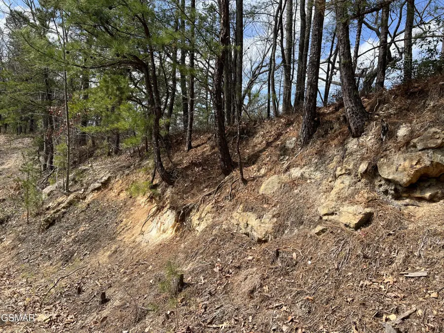 1011 Chestnut Ridge Court, Sevierville, TN 37876 - #3