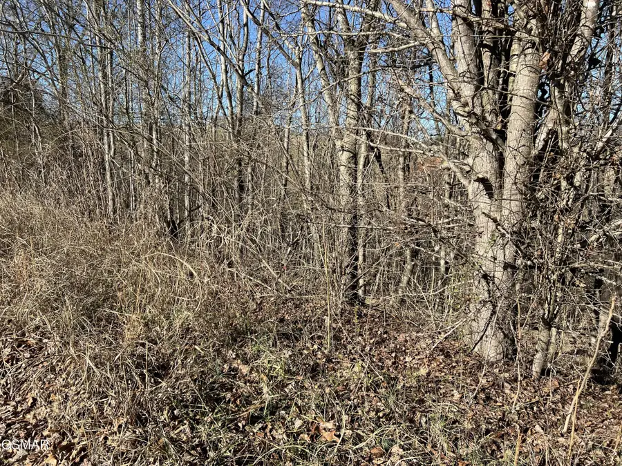 3 Baldwin View Drive, New Market, TN 37820 - #3