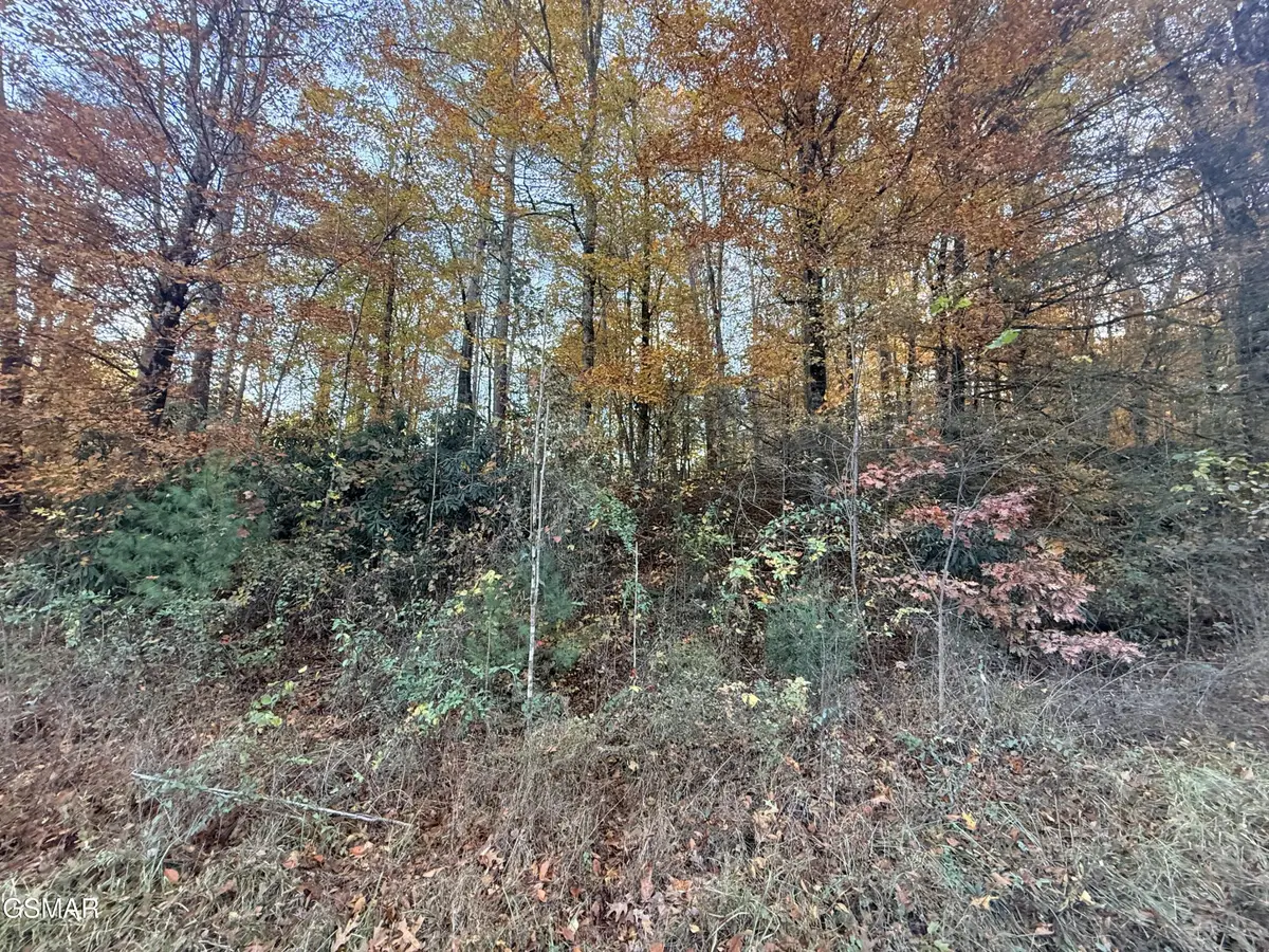 4243 Deerfoot Road, Newport, TN 37821 - #1