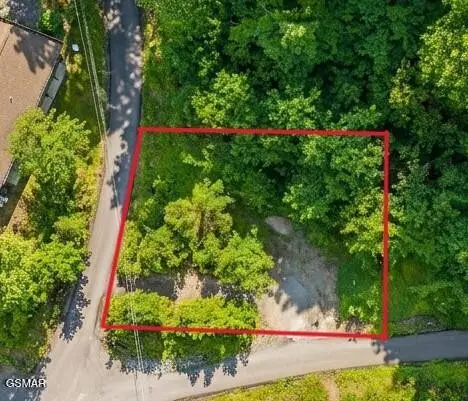 303 Silverbell Lane, Gatlinburg, TN 37738 - #1