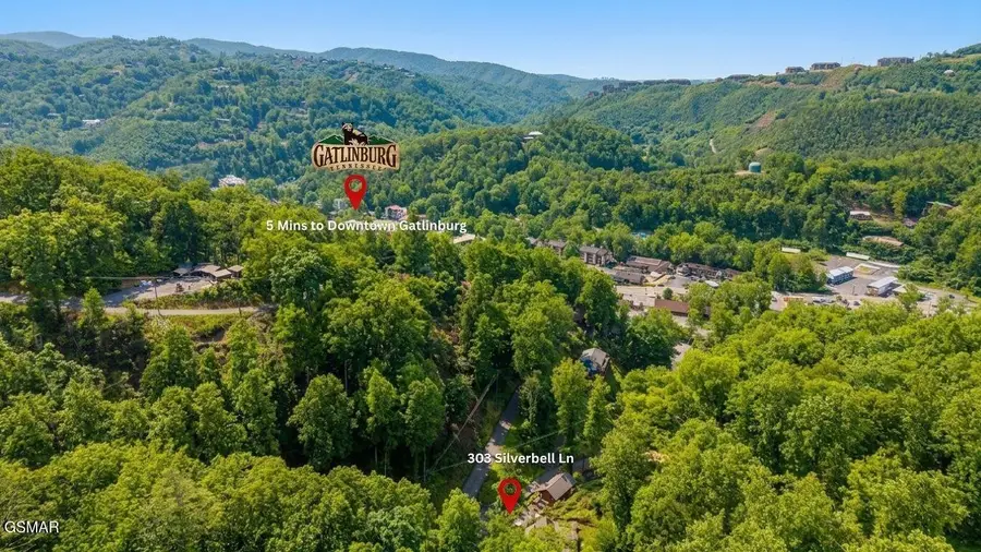 303 Silverbell Lane, Gatlinburg, TN 37738 - #2
