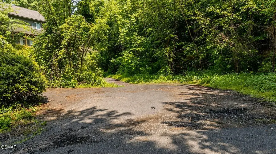 303 Silverbell Lane, Gatlinburg, TN 37738 - #3