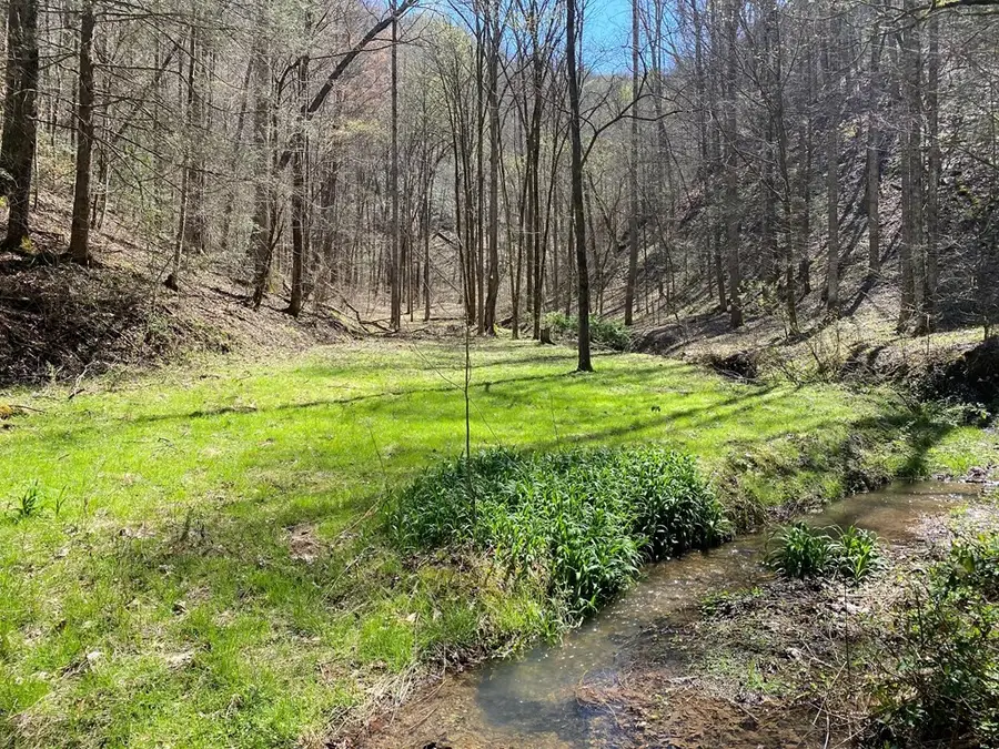 0 Valley Springs Way, Sevierville, TN 37862 - #3