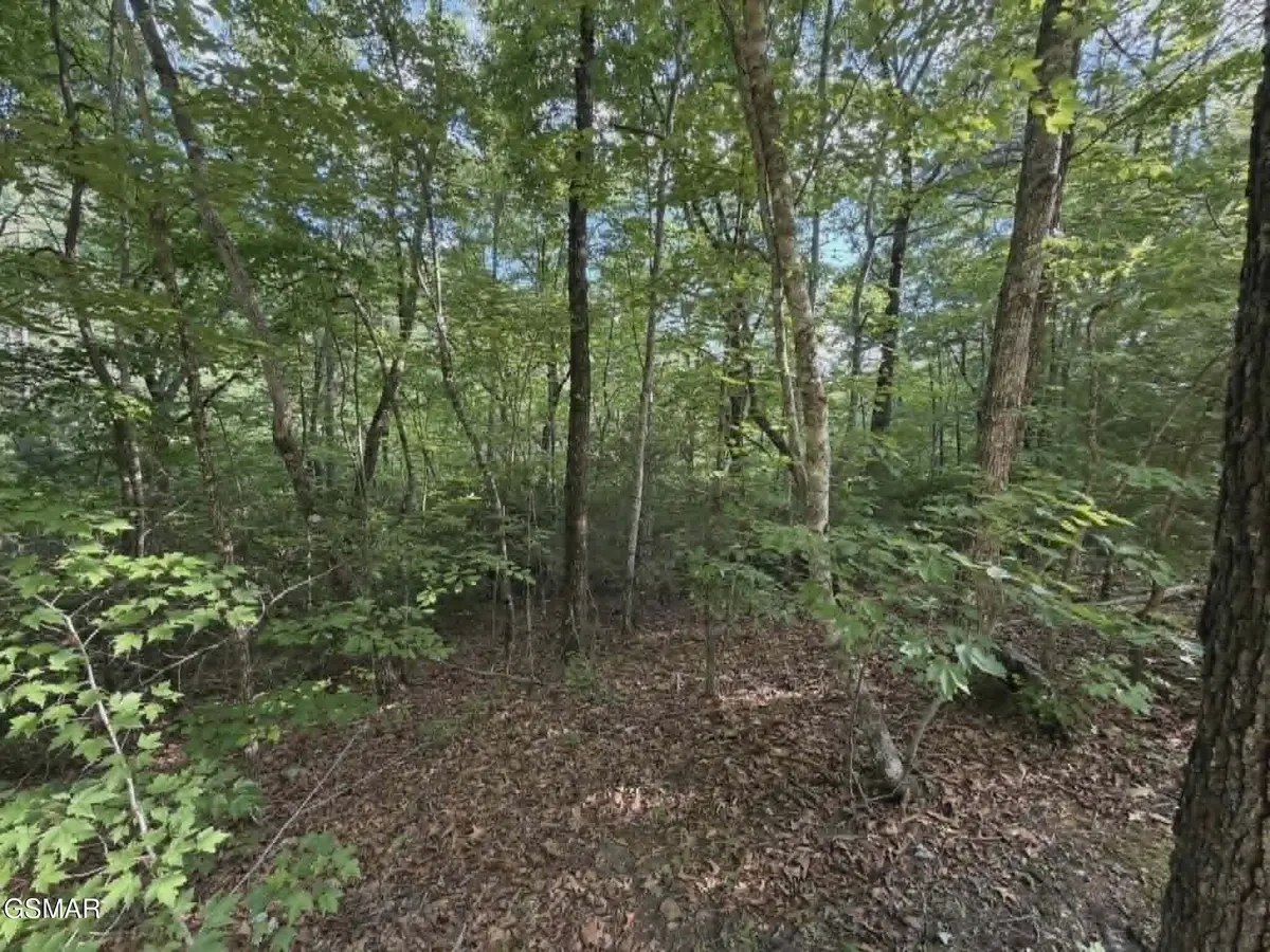 202122 Fox Hunters Lane, Sevierville, TN 37876 - #1