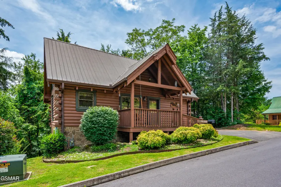 242 Alpine Mountain Way, Pigeon Forge, TN 37863 - #3