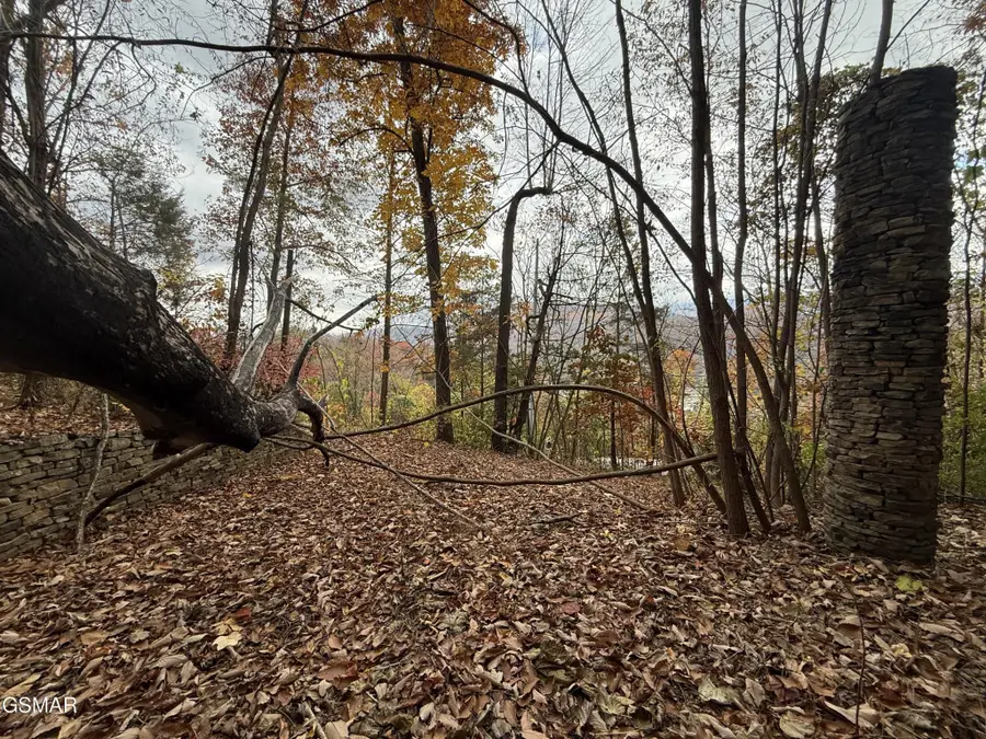 278 Greystone Heights Road, Gatlinburg, TN 37738 - #3