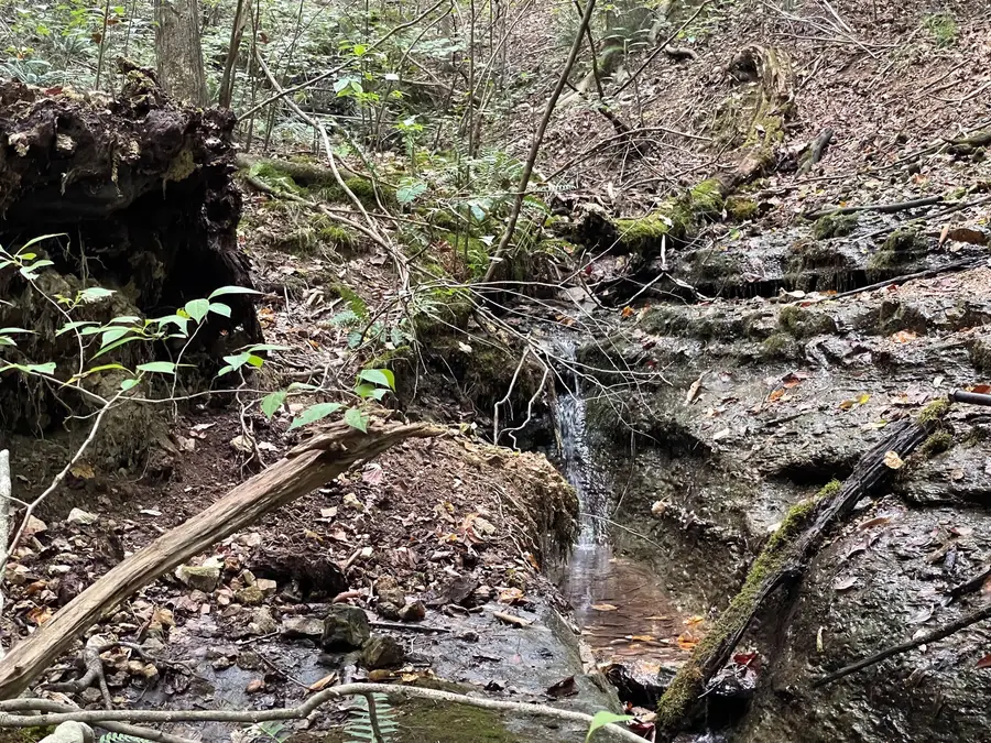 0 Mcclanahan Rd, Hampshire, TN 38461 - #2