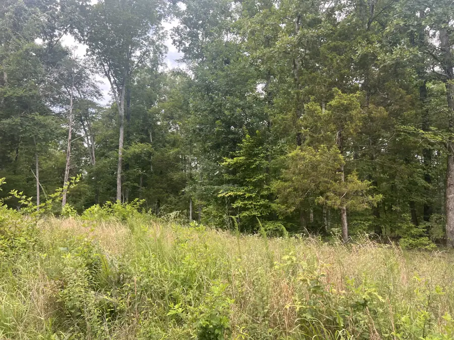 1 Lakeview Drive, Linden, TN 37096 - #2