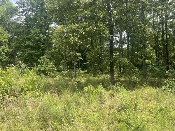 17 Lake View Drive, Linden, TN 37096