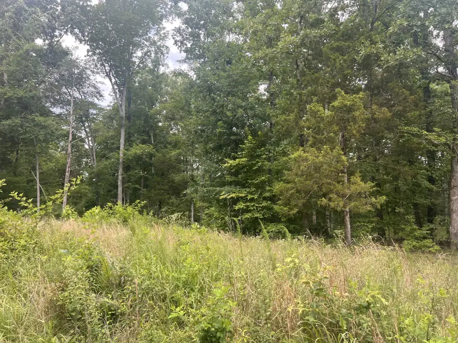 17 Lake View Drive, Linden, TN 37096 - #2