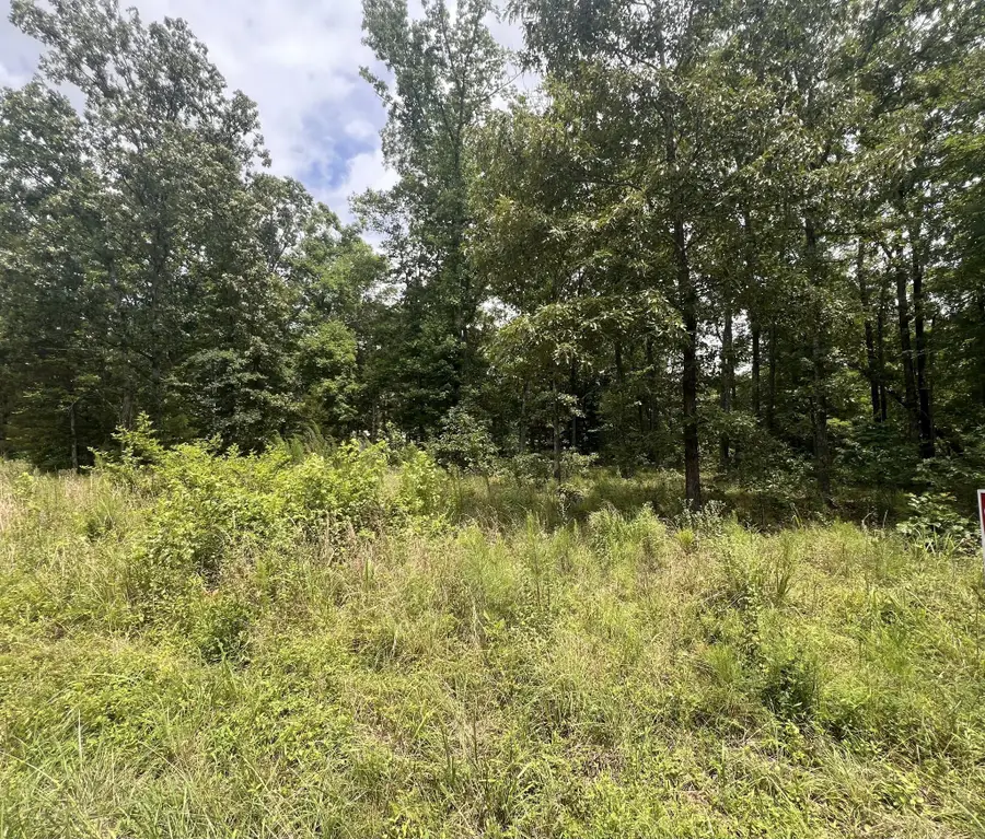 4 Lake View Drive, Linden, TN 37096 - #3