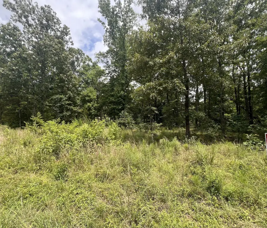 9 Lakeview Drive, Linden, TN 37096 - #3
