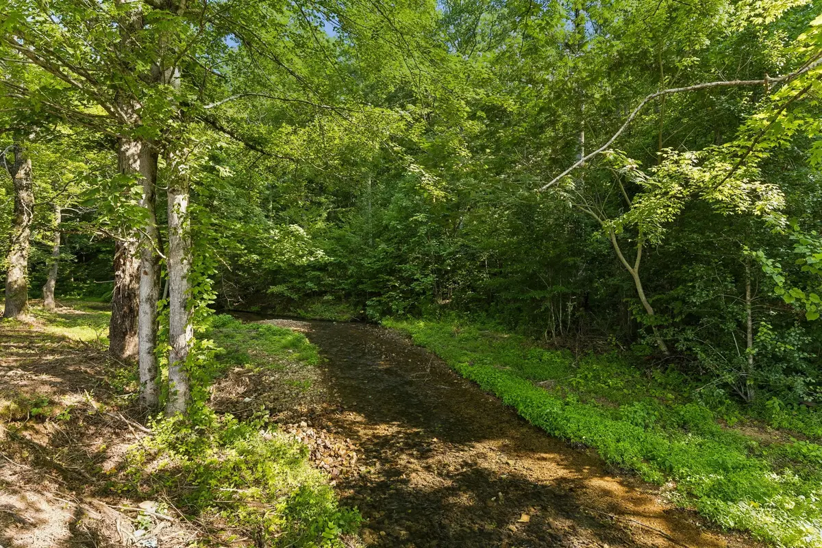 1513 Centerville Hwy, Hohenwald, TN 38462 - #1