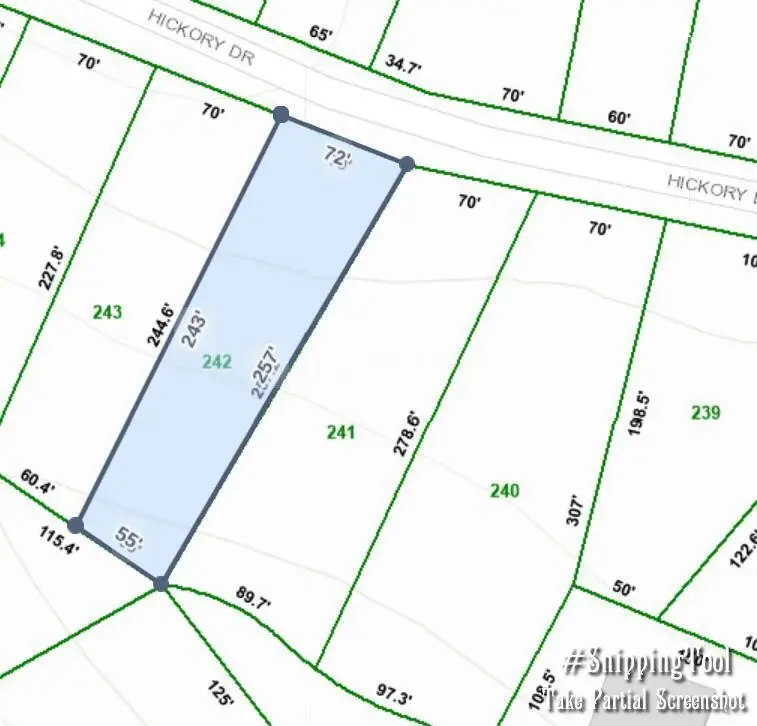 242 Hickory Drive, Spring City, TN 37381 - #2