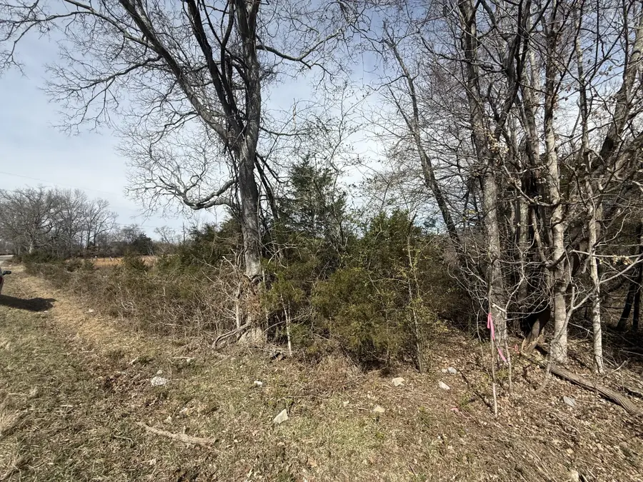 0 Grays Chapel Rd, Southside, TN 37171 - #2