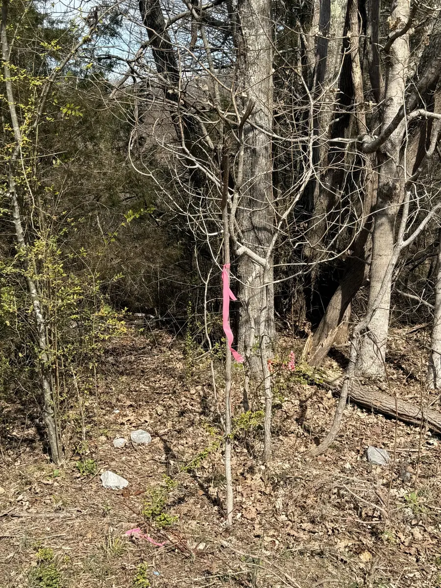 0 Grays Chapel Rd, Southside, TN 37171 - #3