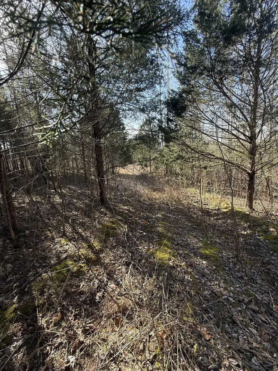 0 Grays Chapel Rd, Southside, TN 37171 - #3