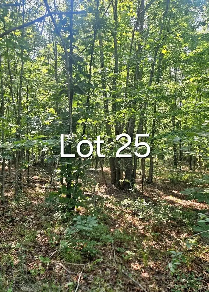 0 0 Aerie Lake Circle, Summertown, TN 38483 - #2