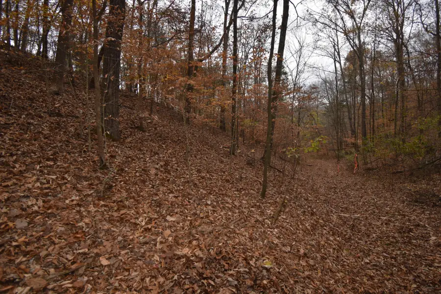 0 Depriest Bend Dr, Lobelville, TN 37097 - #3