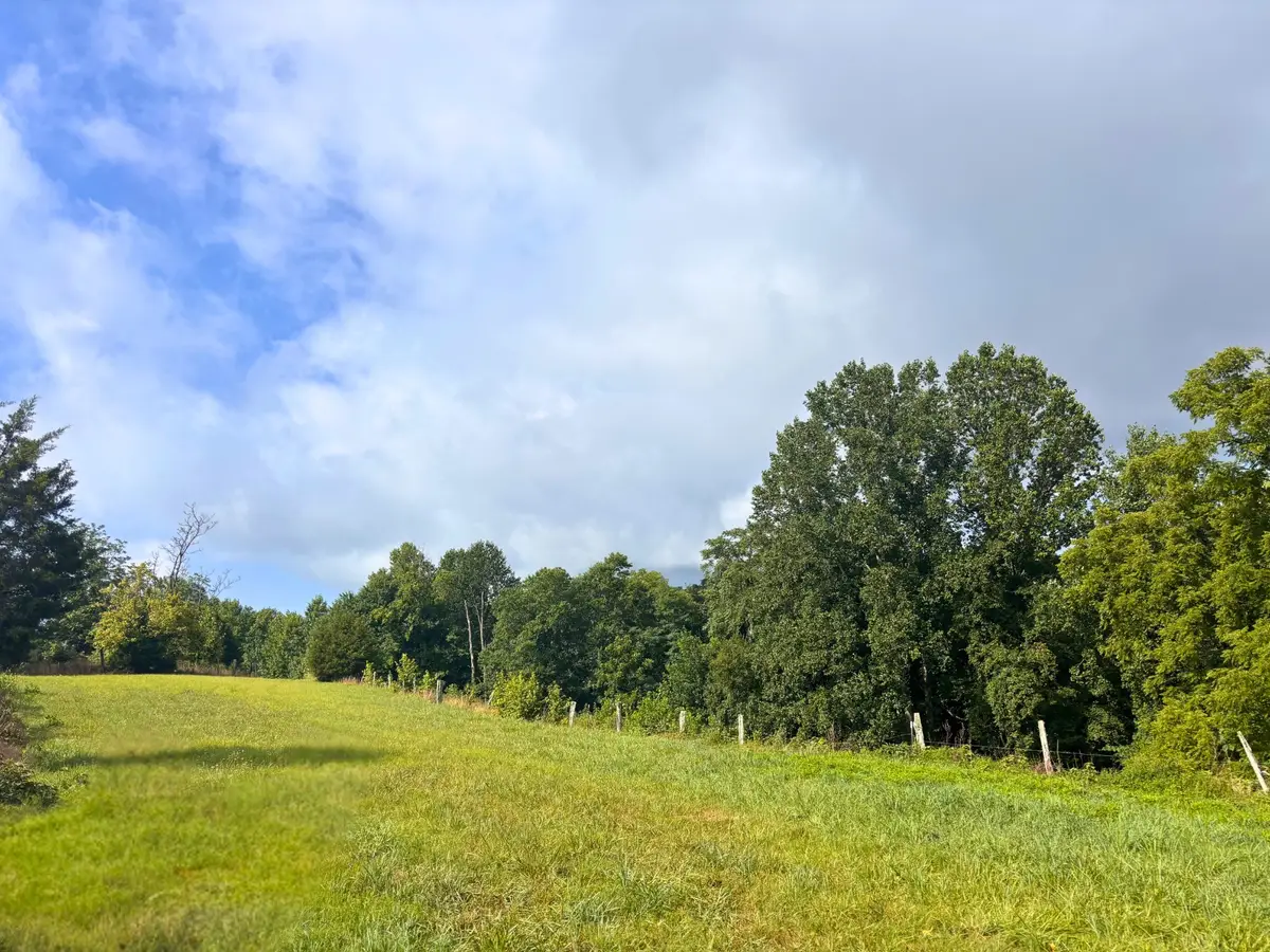 0 Pea Ridge Rd, Chestnut Mound, TN 38552 - #1