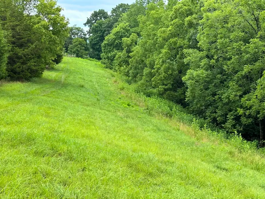 0 Pea Ridge Rd, Chestnut Mound, TN 38552 - #3