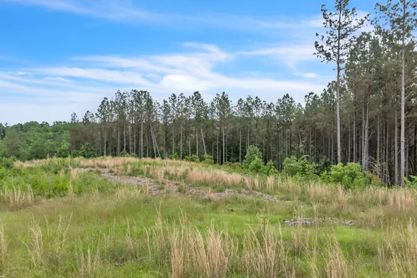 178 Sagebrush Way, Dover, TN 37058