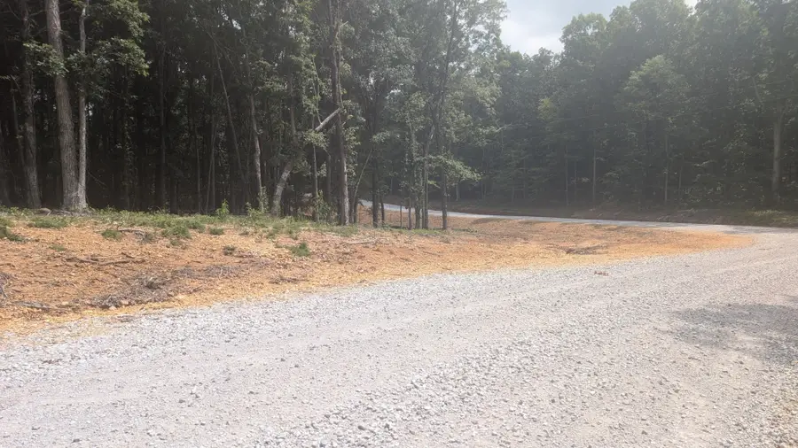 0 Longwood Court, Mc Ewen, TN 37101 - #3
