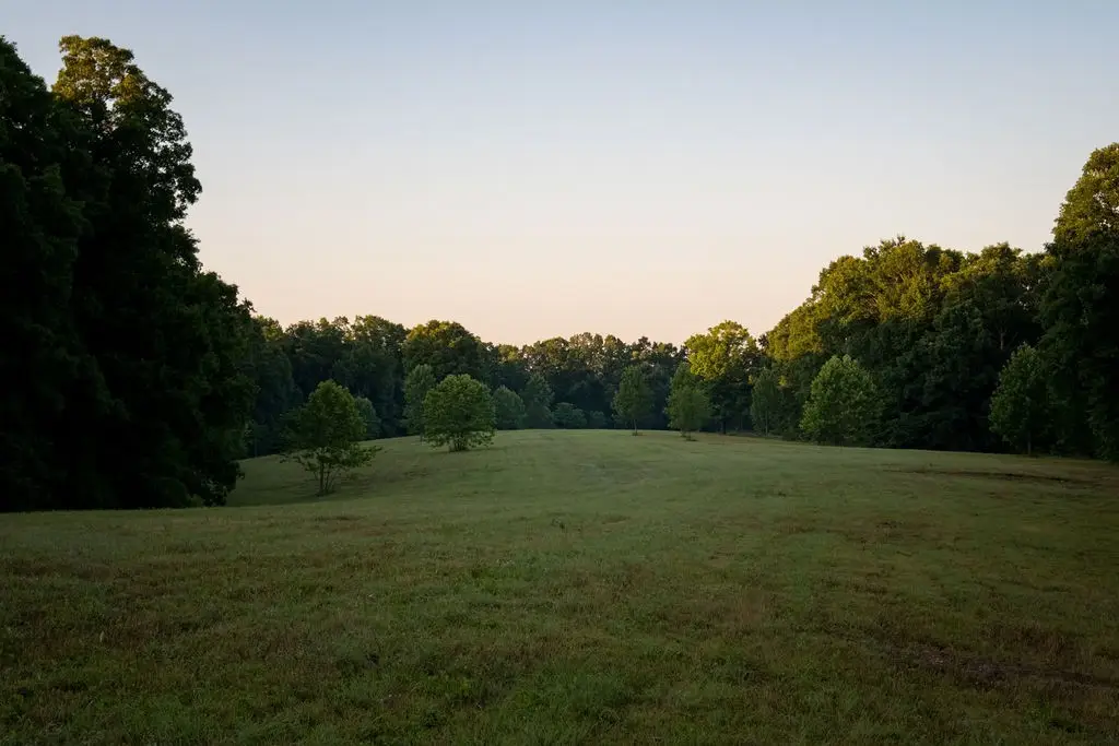 0 Shoals Branch Rd, Primm Springs, TN 38476 - #1