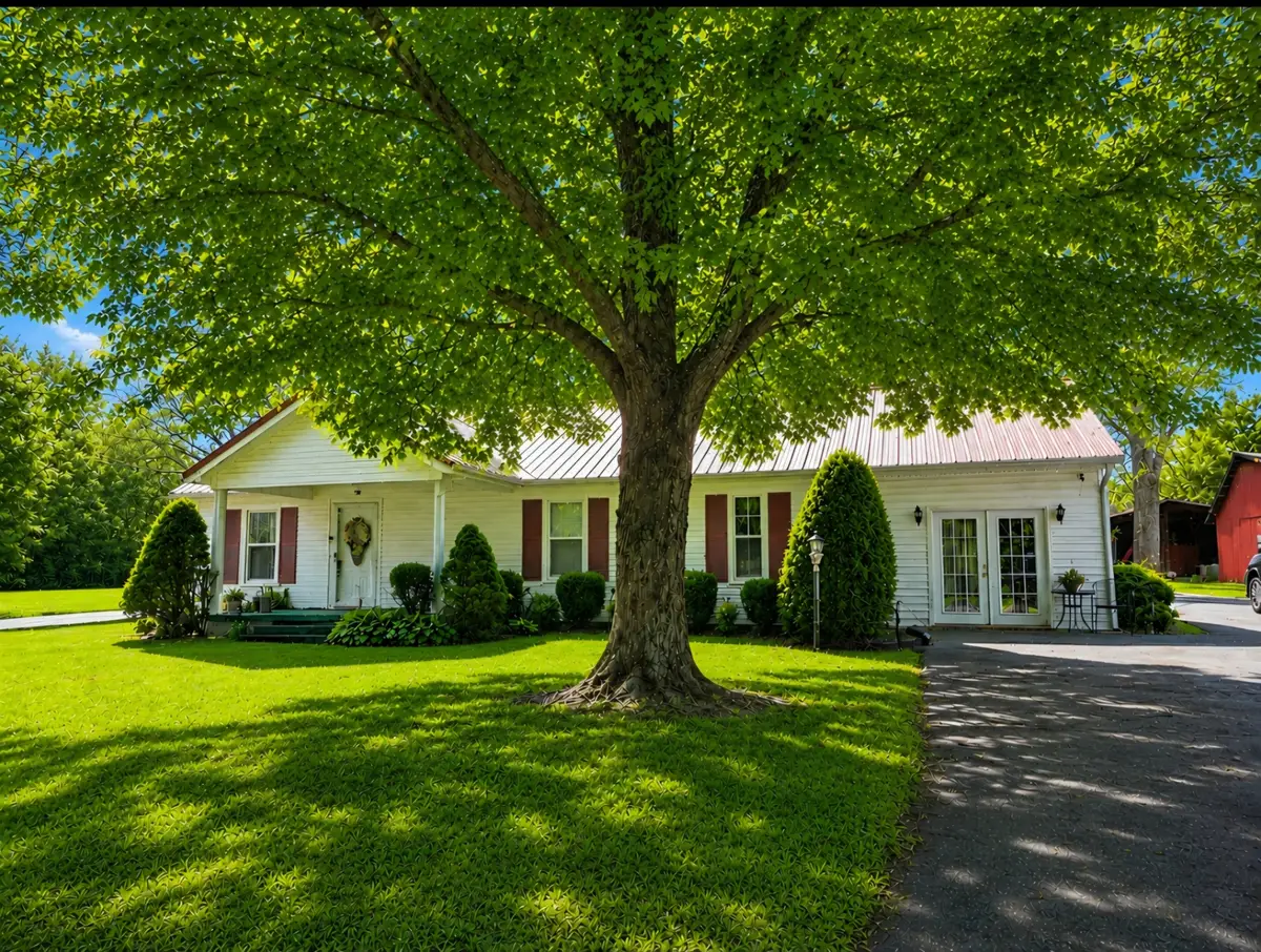 2780 Jacobs Pillar Rd, Smithville, TN 37166 - #1