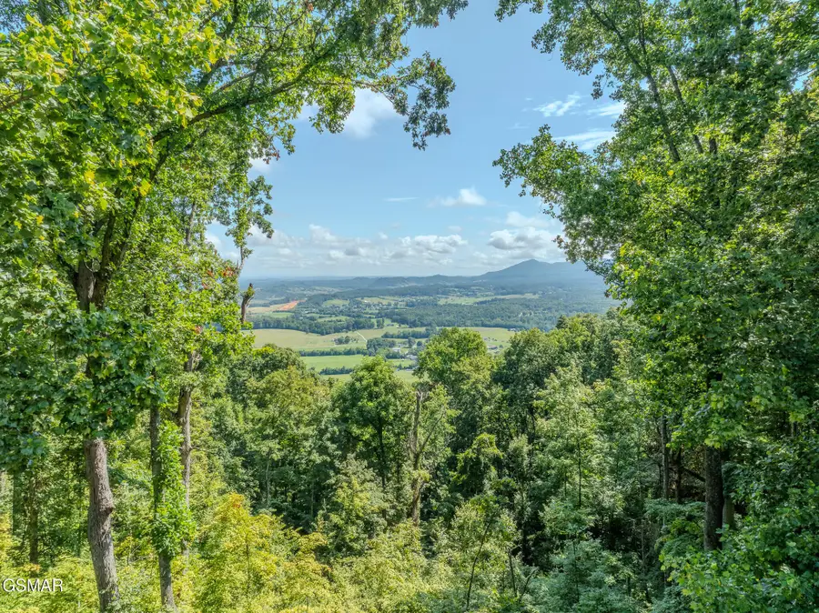 431 Thomas Loop Road, Sevierville, TN 37876 - #3