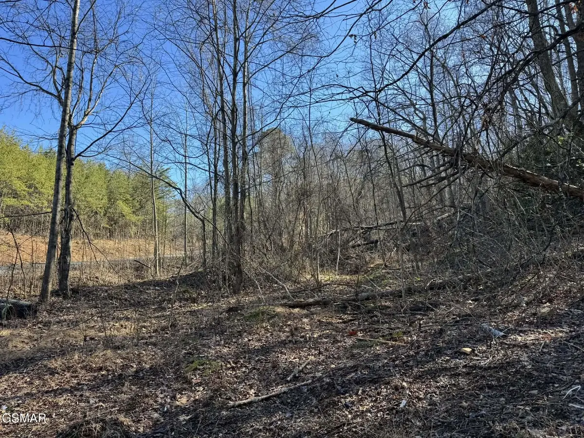 27 Blue Springs Way, Newport, TN 37821 - #1