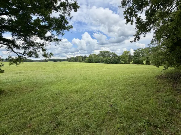 0 Cooley Ford Rd, Tennessee Ridge, TN 37178
