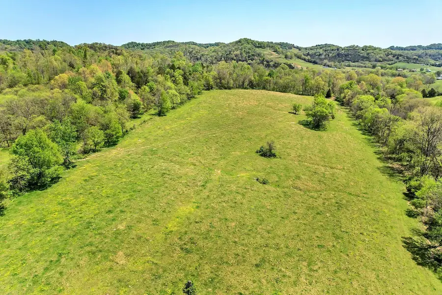 290 Gladdice Rd, Pleasant Shade, TN 37145 - #3