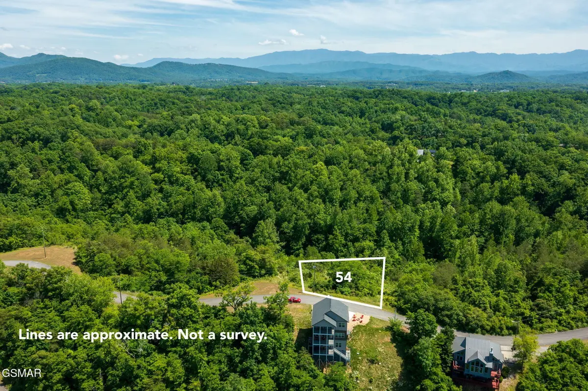 54 Mary Alice Way, Sevierville, TN 37876 - #1